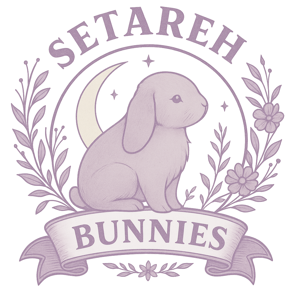 Setareh Bunnies