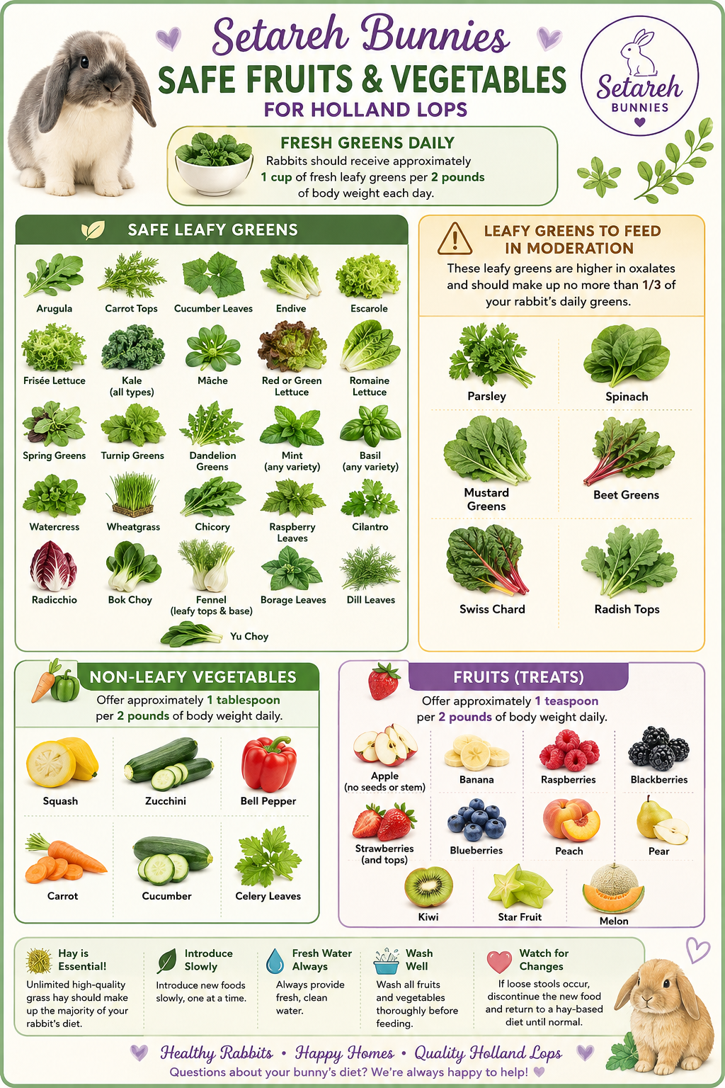 Setareh Bunnies Safe Fruits and Vegetables Guide